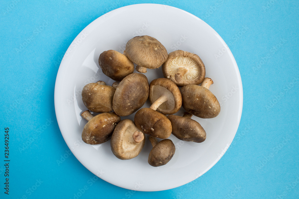 Mushrooms shiitake in the wnite plate on the blue background.Top view.Copy space. Mushrooms shiitake in the wnite plate on the blue background.Top view.Copy space.