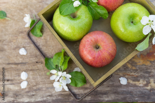 Fresh sweet juicy red and green apples with flowers on a wooden background