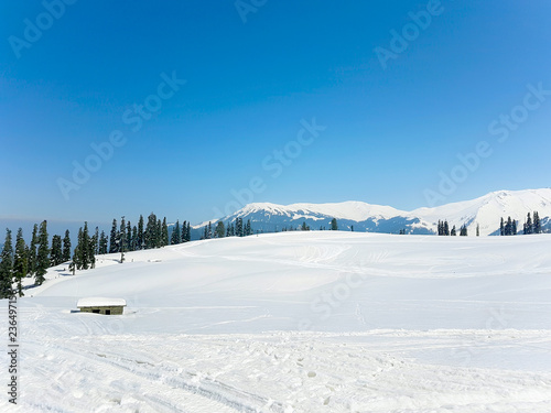 Wallpaper Mural A house in snow valley with beautiful background of pines, hills and clear blue sky. Torontodigital.ca
