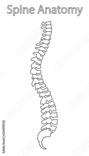 Human spine anatomy isolated vector illustration. Spine pain medical center, clinic, institute, rehabilitation, diagnostic, surgery logo element. Spinal icon symbol design.
