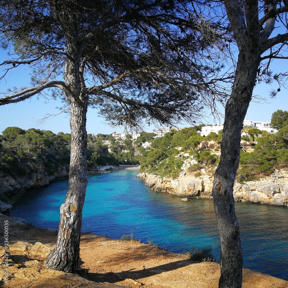 vista panoramica de la  costa  de mallorca con el aguas cristalinas cielo azul y arboles concepto de naturaleza verano y vacaciones