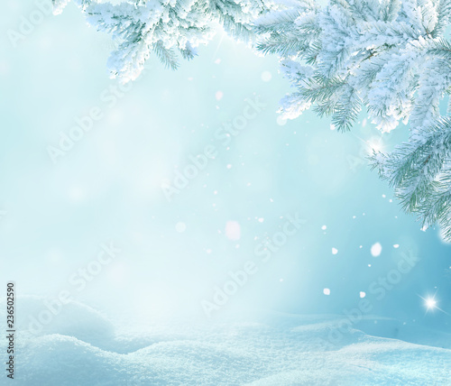 .Winter Christmas background with fir tree branch .Merry christmas and happy new year greeting card with copy-space.Christmas background.Winter landscape with snow 