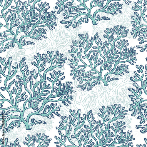 Vector seamless pattern corals. Polyps monochrome turquoise outline sketch illustration isolated on white background for design of tourist marine theme.