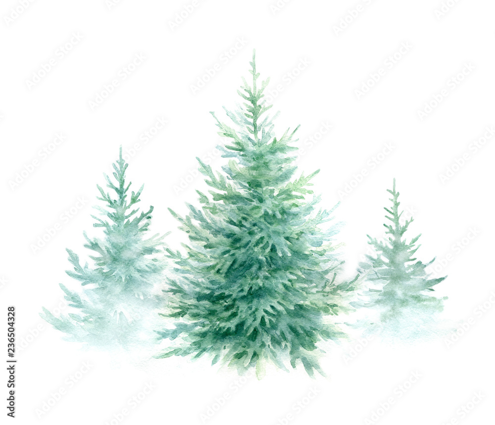 Christmas trees.Watercolor illustration.
