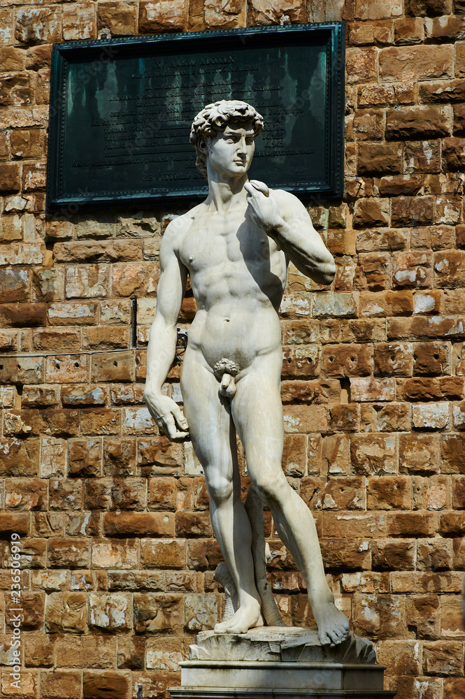 Obraz premium Copy of Michelangelo's David, at the entrance of the Palazzo Vecchio; the original, sculpted abuot 1501, by Michelangelo is housed in the Gallery of the Academy of Fine Arts.