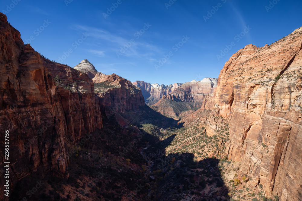 Beautiful aerial landscape view of a Canyon during a vibrant sunny day. Taken in Zion National Park, Utah, United States.