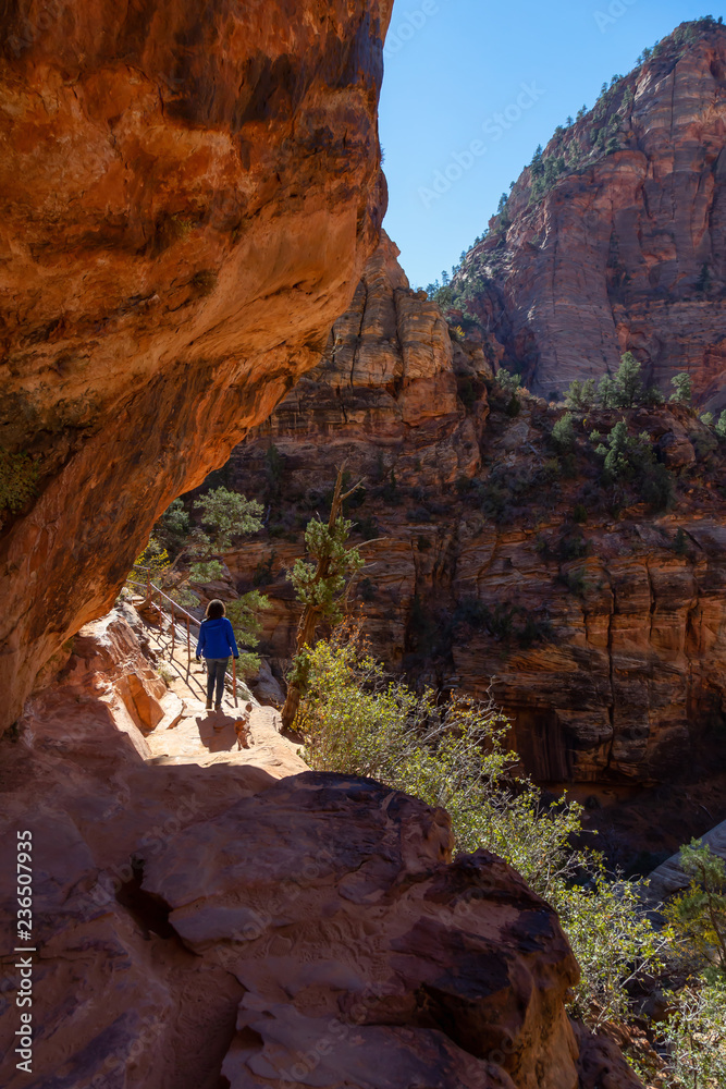 Hiking Trail in the Canyon during a sunny day. Taken in Zion National Park, Utah, United States.