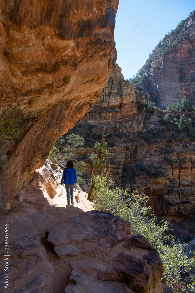 Hiking Trail in the Canyon during a sunny day. Taken in Zion National Park, Utah, United States. Hiking Trail in the Canyon during a sunny day. Taken in Zion National Park, Utah, United States.