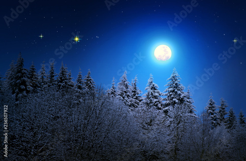 Fir trees covered with hoarfrost and full moon.