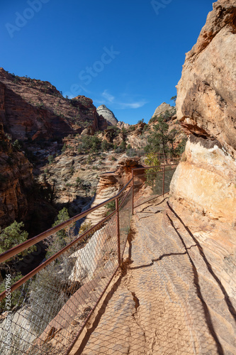 Hiking Trail in the Canyon during a sunny day. Taken in Zion National Park  Utah  United States.