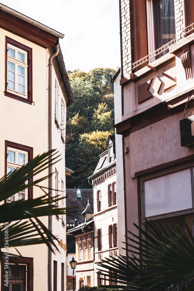 Naklejka premium old architecture buildings in a german town