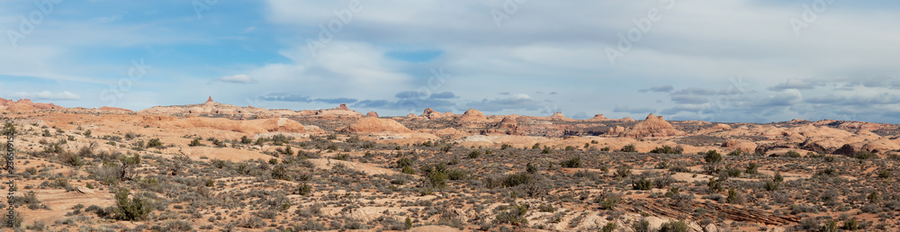 Panoramic Landscape view of beautiful red rock canyon formations during a vibrant sunny day. Taken in Arches National Park, located near Moab, Utah, United States.