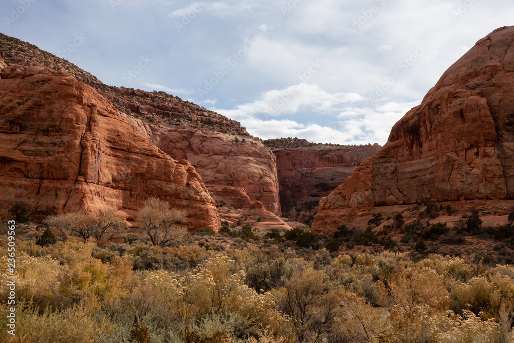 Fototapeta premium Landscape view of a canyon in the desert during a vibrant day. Locaten near La Sal, Utah, United States.
