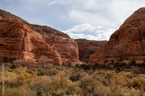 Landscape view of a canyon in the desert during a vibrant day. Locaten near La Sal, Utah, United States. photo