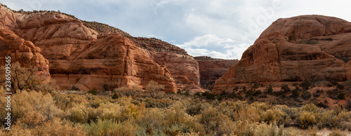 Panoramic Landscape view of a canyon in the desert during a vibrant day. Locaten near La Sal, Utah, United States. photo
