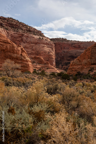 Landscape view of a canyon in the desert during a vibrant day. Locaten near La Sal, Utah, United States. photo