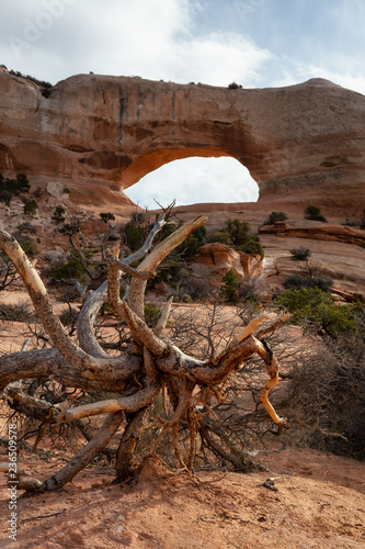 View of Wilson Arch during a sunny day. Locaten near La Sal, Utah, United States. photo
