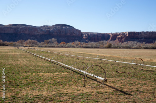 Agricultural fields in the desert. Located near Bluff  Utah  United States.