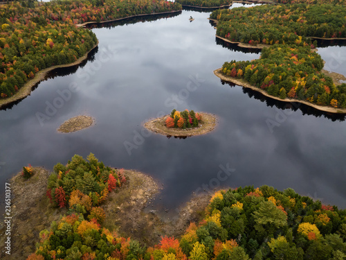 Aerial view of a beautiful lake in the forest with colorful trees during fall season. Taken in Grand Lake Flowage, Nova Scotia, Canada.