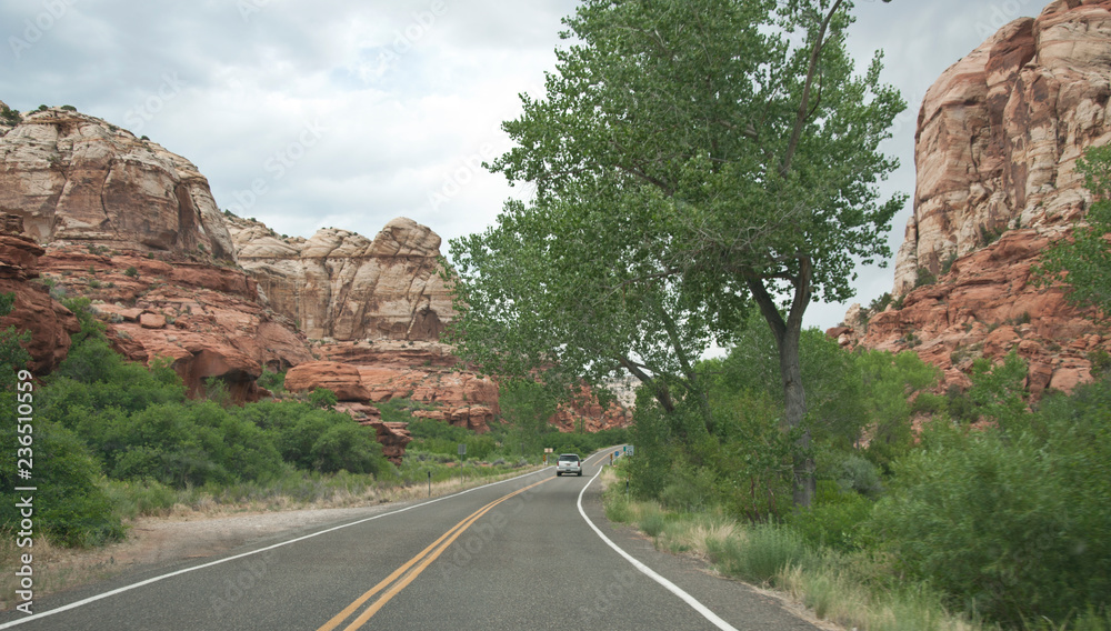 Fototapeta premium Road near red rock canyon, USA