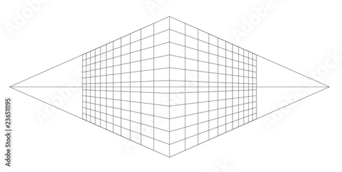 perspective grid vector photo