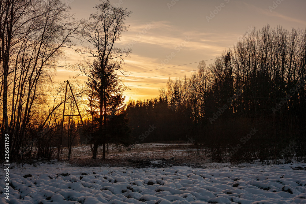 simple countryside landscape in latvia with fields and trees under snow simple countryside landscape in latvia with fields and trees under snow