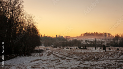 simple countryside landscape in latvia with fields and trees under snow