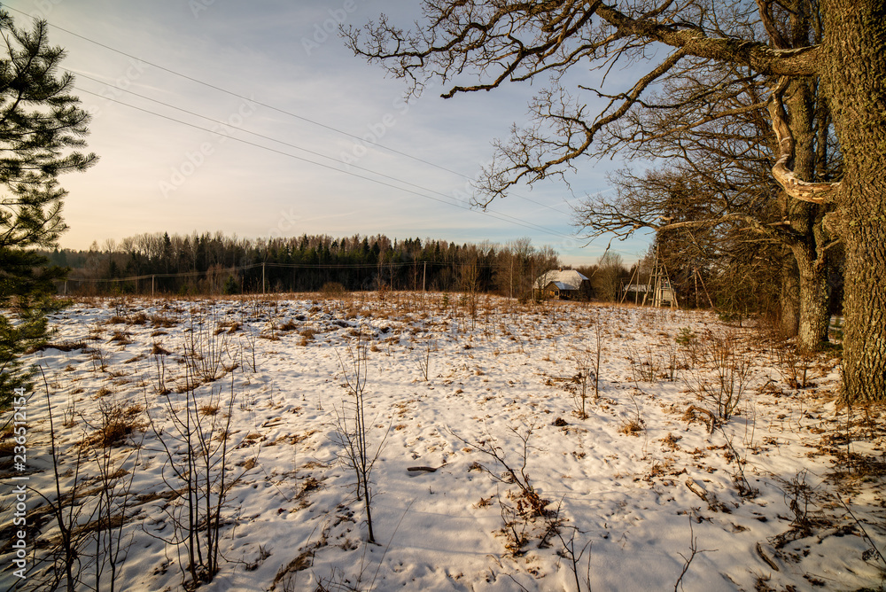 simple countryside landscape in latvia with fields and trees under snow simple countryside landscape in latvia with fields and trees under snow