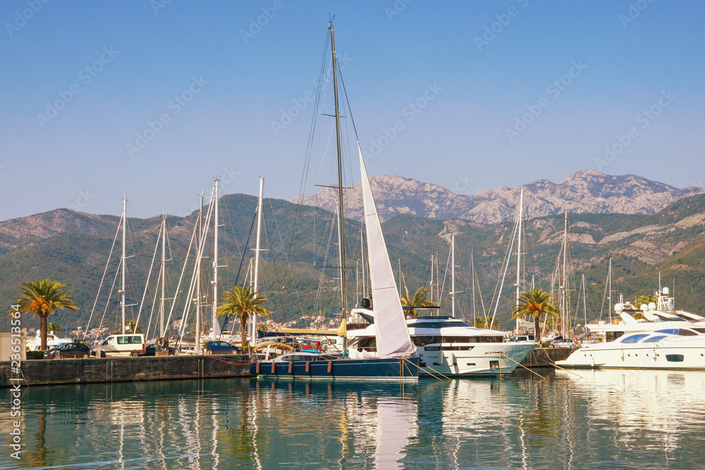 View of yacht marina of Porto Montenegro .  Montenegro, Adriatic Sea, Bay of Kotor, Tivat city