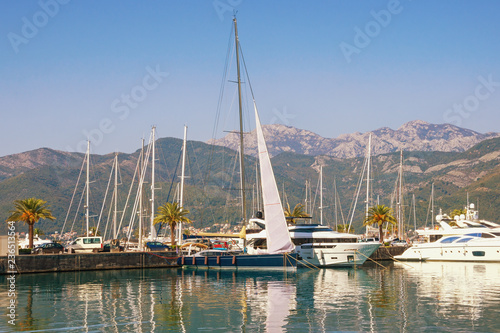 View of yacht marina of Porto Montenegro .  Montenegro  Adriatic Sea  Bay of Kotor  Tivat city