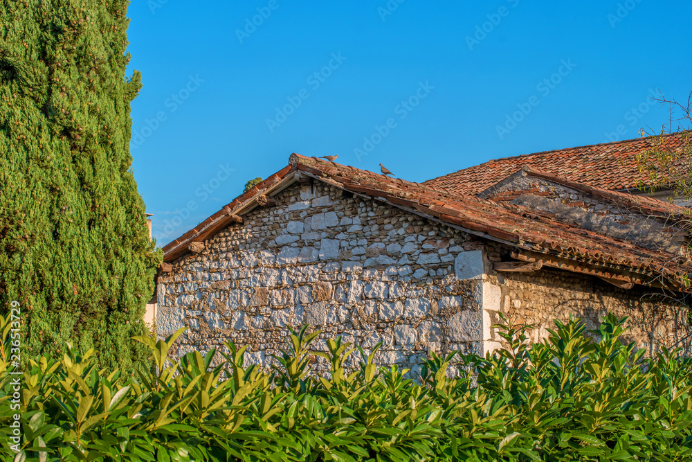 View of a rural house with a red tile roof. Pigeons are sitting on the roof. There are trees and bushes around. Sunny day. Northern Italy. Veneto area View of a rural house with a red tile roof. Pigeons are sitting on the roof. There are trees and bushes around. Sunny day. Northern Italy. Veneto area