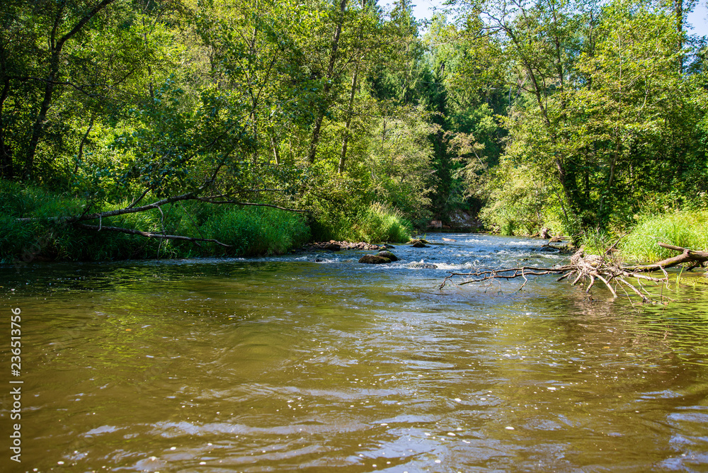 summer day on water in calm river enclosed in forests with sandstone cliffs and dry wood summer day on water in calm river enclosed in forests with sandstone cliffs and dry wood