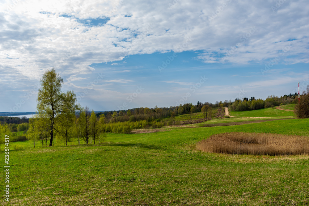 plain simple countryside spring landscape with fresh green meadows and forests plain simple countryside spring landscape with fresh green meadows and forests