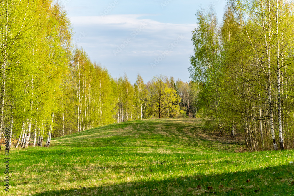 Fototapeta zwykły prosty wiejski krajobraz wiosną ze świeżymi zielonymi łąkami i lasami