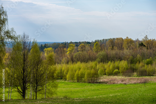 plain simple countryside spring landscape with fresh green meadows and forests