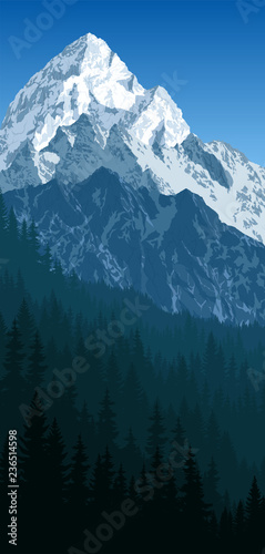 vector morning in winter mountains