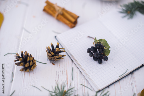 Notepad with berries, pine cones and cinnamon sticks on wooden white background. New Year's concept photo