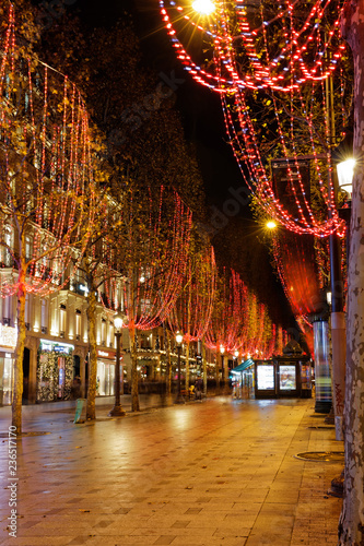 Canvas Print Paris, France - November 18, 2018: Xmas illuminations on Champs Elysees in Paris