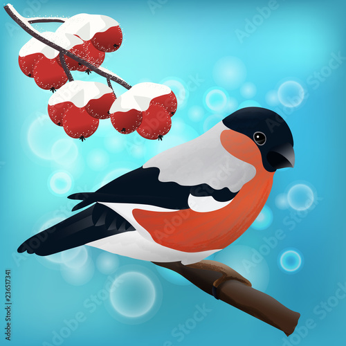 bullfinch and rowan branch on a sparkling background