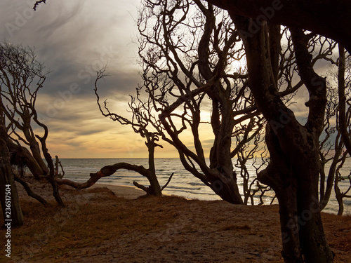 Lichtstimmung am Abend am Darßer Weststrand, Nationalpark Vorpommersche Boddenlandschaft, Mecklenburg Vorpommern, Deutschland photo