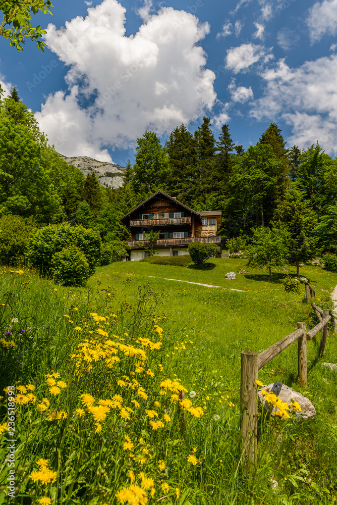 
Beautiful wooden traditional house in the Alps, among the mountains.