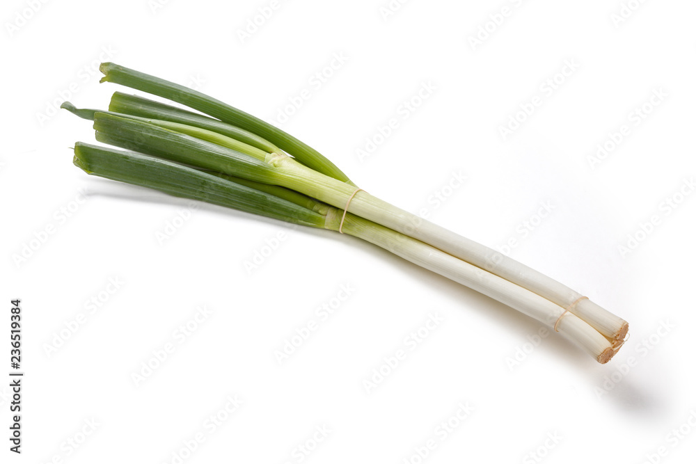 Fresh green leek Fresh green leek