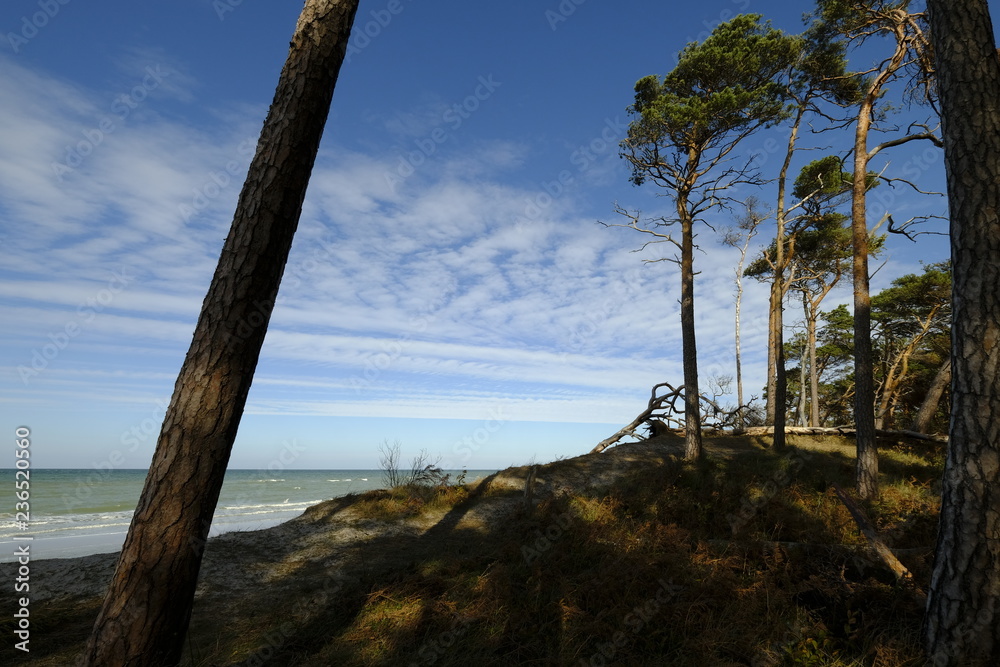 Darßer Weststrand, Nationalpark Vorpommersche Boddenlandschaft, Mecklenburg Vorpommern, Deutschland Darßer Weststrand, Nationalpark Vorpommersche Boddenlandschaft, Mecklenburg Vorpommern, Deutschland
