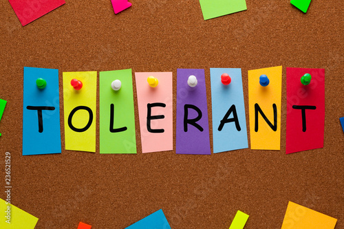 Slika na platnu Tolerant Concept