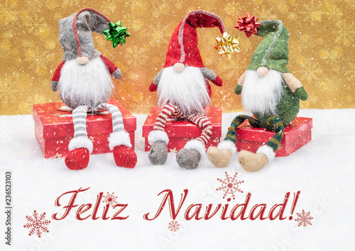 Weihnachtsgruß mit Wichteln auf Geschenk-Kartons und Text Feliz Navidad