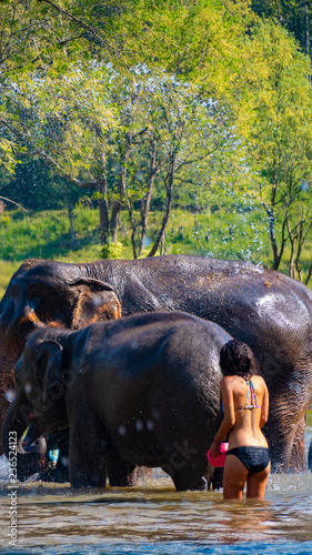Photography elephants in water