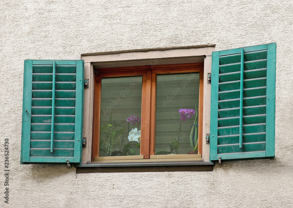 European window with green shutters and blooming orchid plant