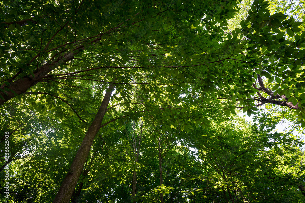 Obraz premium landscape in turkey