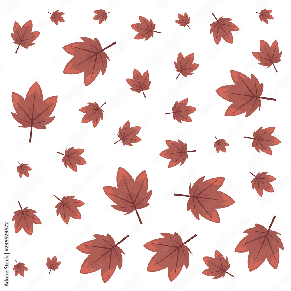 Obraz premium autumn leaves foliage decoration background