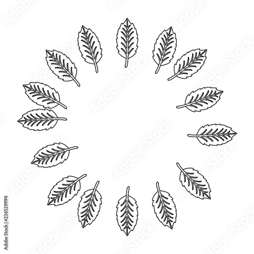 wreath floral leaves foliage white background